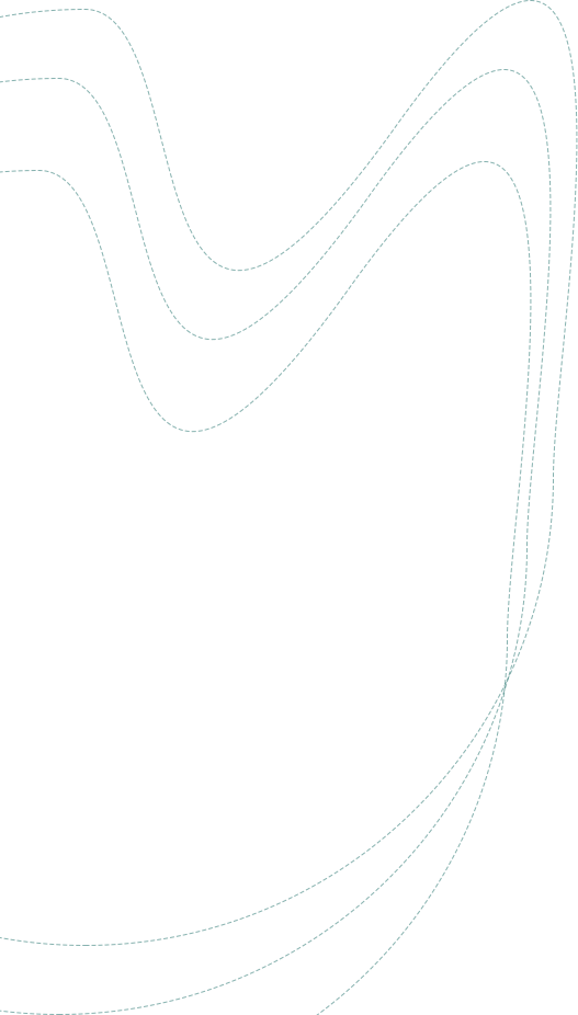 about shape one